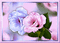 fleur pastel. - 免费动画 GIF 动画 GIF