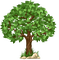 Kaz_Creations Tree - darmowe png animowany gif