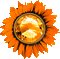 Flower.Orange.Animated - KittyKatLuv65
