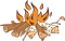 campfire - Free PNG Animated GIF