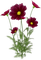 Kaz_Creations Deco Flowers Flower Colours - zadarmo png animovaný GIF