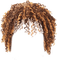 Wig, brown blonde - Free PNG Animated GIF