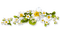 Yellow white flowers deco [Basilslament] - zdarma png animovaný GIF