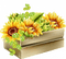 Kiste mit Sonnenblumen - png gratis GIF animado