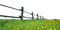 grass bp - ilmainen png animoitu GIF