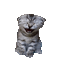 Nina cat - Darmowy animowany GIF animowany gif