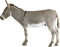 burro - png gratuito GIF animata