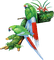 parrot katrin - Free PNG Animated GIF