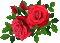 blommor-rosor-röda--flowers-roses-red - 無料のアニメーション GIF アニメーションGIF