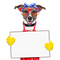 chien à lunettes - darmowe png animowany gif