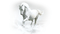 horse - gratis png geanimeerde GIF