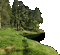 Деревья - Bezmaksas animēts GIF animēts GIF