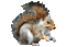 Kaz_Creations Animated Squirrel - Free animated GIF Animated GIF