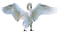 Swan1 NitsaP - Ücretsiz animasyonlu GIF