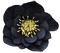 flower-black - gratis png geanimeerde GIF