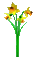 fleur Jonquilles - GIF animé gratuit