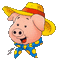 cochon - GIF animasi gratis GIF animasi