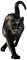 Chat noir - безплатен png анимиран GIF