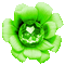 Flower.Green.Animated - KittyKatLuv65 - GIF animado gratis GIF animado
