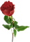 Rosa - gratis png animeret GIF