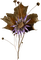 flowers anastasia - zadarmo png animovaný GIF