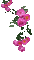 цветы - 免费动画 GIF 动画 GIF