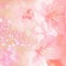 bg-pink-flowers - PNG gratuit GIF animé