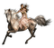 cheval - безплатен png анимиран GIF