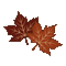 Leaf  Autumn - Bogusia - Free animated GIF Animated GIF