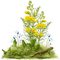 Salamander and flowers - gratis png animeret GIF