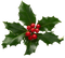 Christmas Time - Free PNG Animated GIF