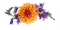 orange and purple flower, sunshine3 - png gratuito GIF animata