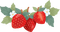 strawberries Bb2 - besplatni png animirani GIF