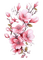 flowers - kostenlos png Animiertes GIF