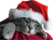 Kaz_Creations Christmas Cat - bezmaksas png animēts GIF
