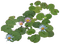 plants katrin - Free PNG Animated GIF