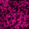 pink background (created with lunapic) - 免费动画 GIF 动画 GIF
