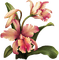 Iris.Flowers.Fleurs.Orchid.Victoriabea - PNG gratuit GIF animé
