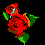 weeping roses - GIF animado grátis Gif Animado