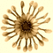 flower background gif - Бесплатный анимированный гифка анимированный гифка