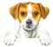chien ( - zadarmo png animovaný GIF