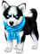 Husky.Dog.Black.White.Blue - Free PNG Animated GIF