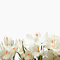 цветы - bezmaksas png animēts GIF