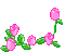 Pink Roses - Bezmaksas animēts GIF animēts GIF