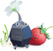 rock pikmin with strawberry - gratis png animeret GIF