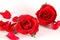 Rosas - gratis png geanimeerde GIF
