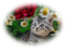 patymirabelle fleurs fond et chat - gratis png geanimeerde GIF