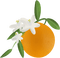 orange Bb2 - бесплатно png анимированный гифка