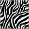 zebra milla1959 - Бесплатный анимированный гифка анимированный гифка