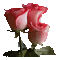 roses - Ilmainen animoitu GIF animoitu GIF